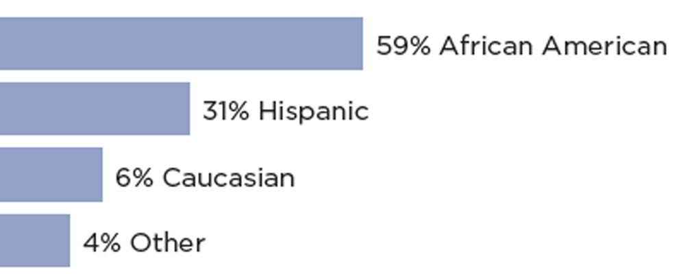 Bar Chart showing ethnic diversity of our clients